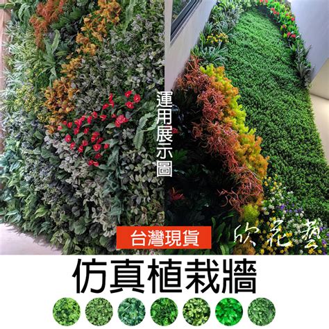 假植栽|欣花藝國際有限公司